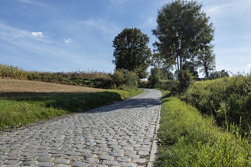 Oude Kwaremont, Vlaamse Ardennen, België