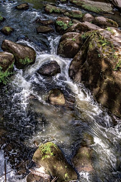 Irreler Rapids van Thomas Riess