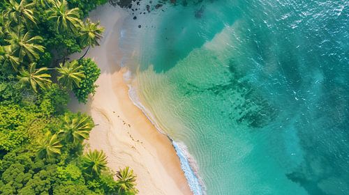 Vogelvlucht boven zee en strand