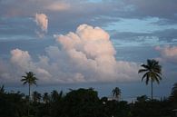 Wolkenveld in Tobago van Jessica van den Heuvel thumbnail