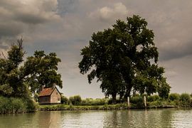 Boathouse in the Biesbosch by Guido Rooseleer