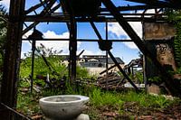 Unusual relics - A lonely loo in the middle of the fire ruins
