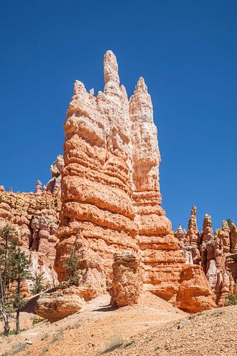 BRYCE CANYON Fascinerende rotsformaties