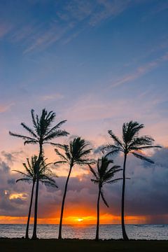 Zonsopkomst Kapaa Beach Park, Kauai, Hawaii van Henk Meijer Photography