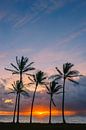 Zonsopkomst Kapaa Beach Park, Kauai, Hawaii van Henk Meijer Photography thumbnail