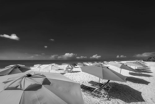Parasols op het strand van Aruba in het Caribisch gebied in zwart en wit