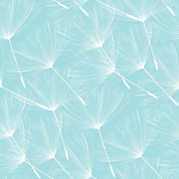 Dandelions by Richard Laschon