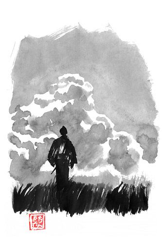 samurai wandelend in de vallei