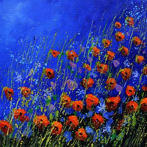 Rote Mohnblumen - 442021