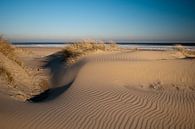 Duinen en zee vanTexel van Ineke Nientied thumbnail