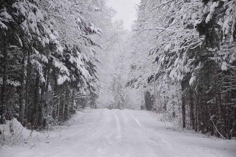 A country road in winter by Claude Laprise