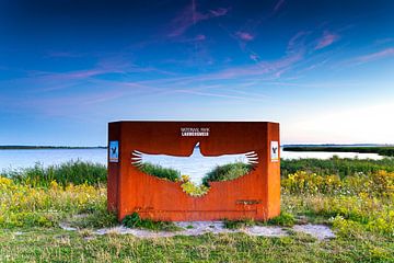 Monument Europese Zeearend in Nationaal park Lauwersmeer van Evert Jan Luchies
