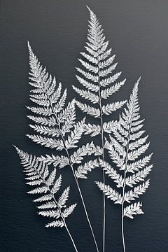 Minimalistisches Varen – Botanische Wanddekoration in Schwarz-Weiß von Thea
