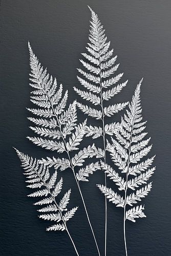 Minimalistisches Varen – Botanische Wanddekoration in Schwarz-Weiß von Thea