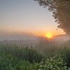 Zonsopkomst in de Schiedamse Polder van Karen de Geus