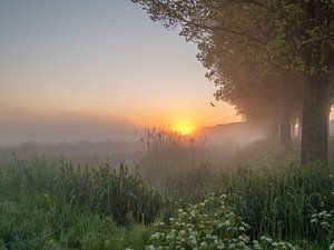 Lever de soleil dans le polder de Schiedam