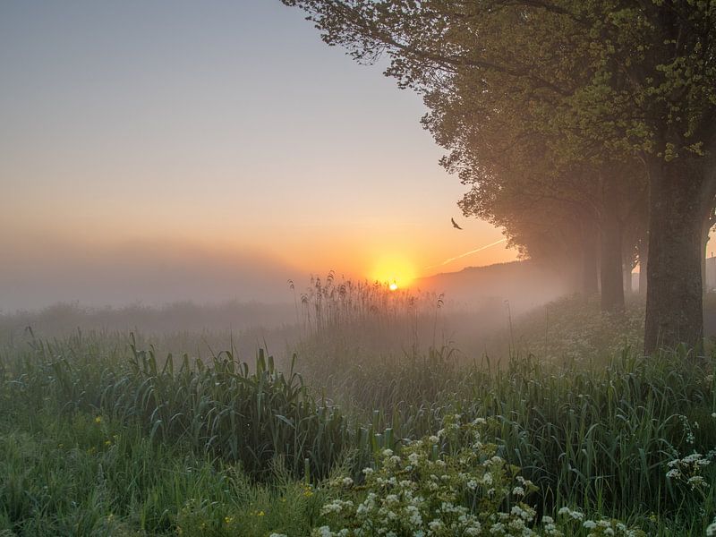 Sunrise in the Schiedam Polder by Karen de Geus