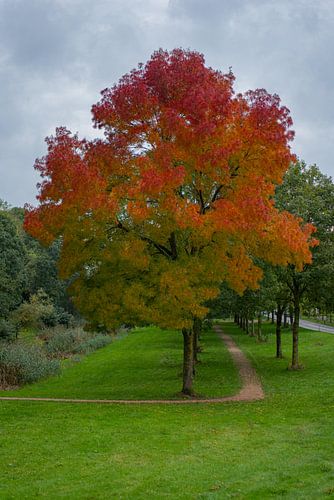 Zeewolde Flevoland van Robinotof