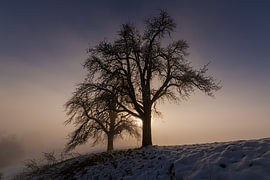 Lumières d'hiver avant le coucher du soleil sur Pasqual Schnetzer