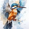 Martin-pêcheur à l'aquarelle sur Richards Fine Art