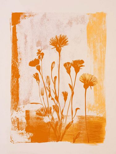 La lumière de l'été se reflète dans la floraison orange