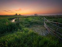 Sunrise at the mill