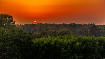 Zonsondergang boven het Robbenoordbos van Rob Baken