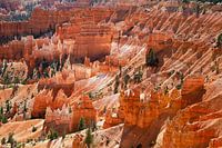 Bryce Canyon