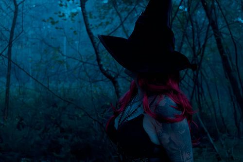 Enchanted Forest Secrets