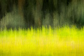 Malerisches Gras von KC Photography