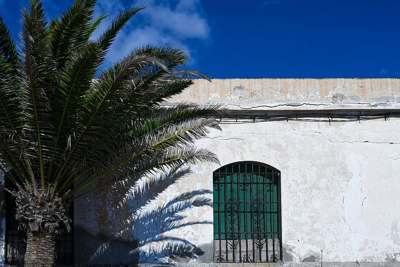 Gran Canaria by anne hamers