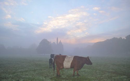 Lakenvelder bij kasteel Doornenburg in de mist