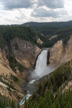 Lower Falls, Yellowstone National Park, USA by Jeroen van Deel