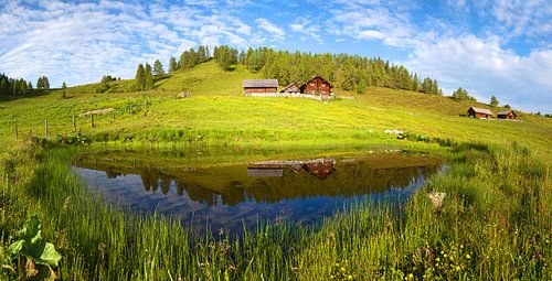 Spiegelung auf der Lackenalm