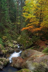 Herfst in Beieren van Rob Christiaans