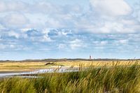 Dünenlandschaft