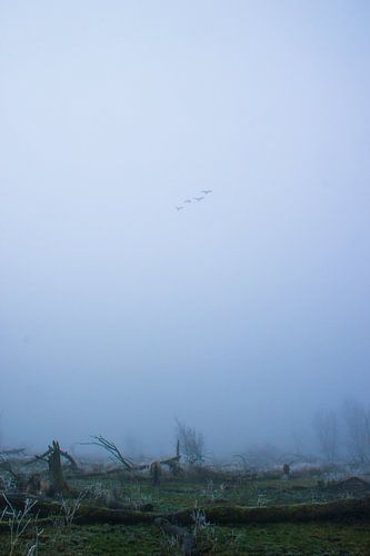 Lonesome flight to nowhere