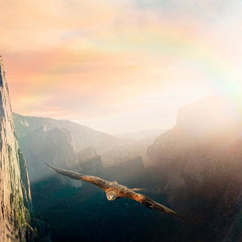 Flight over the mountains