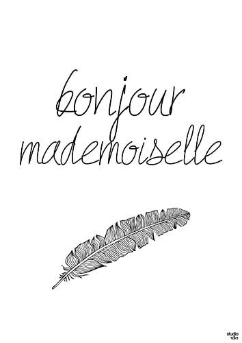 Bonjour Mademoiselle by Studio Riba