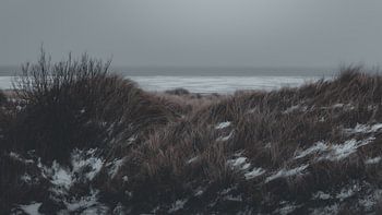 Between the Dunes