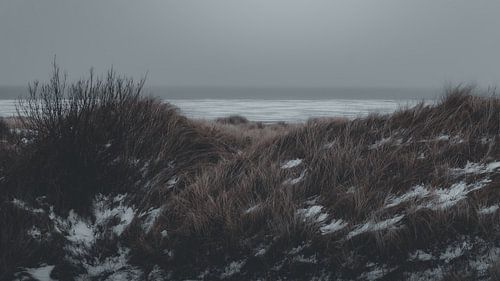 Between the Dunes