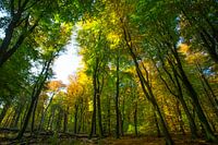 Herfst 