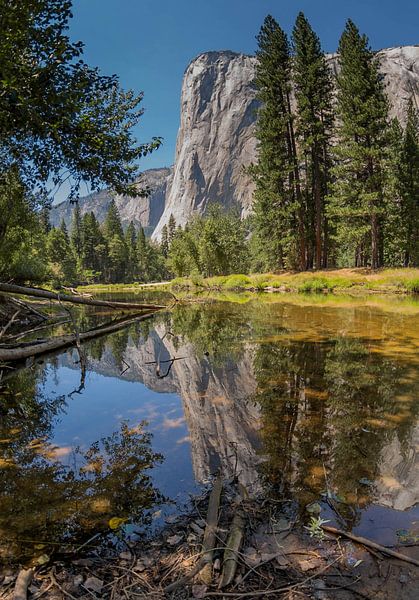 El Capitan reflectie, Yosemite national park (USA) van Bas Wolfs