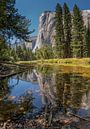 El Capitan reflectie, Yosemite national park (USA) van Bas Wolfs thumbnail