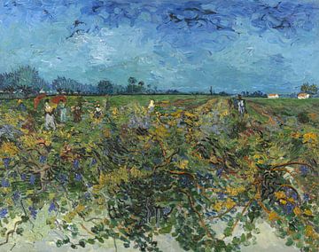 De groene wijngaard, Vincent van Gogh