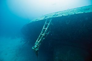 Hilma Hooker