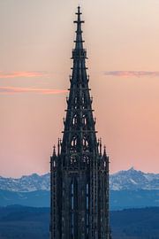 Ulmer Münster und die Stadt Ulm Abends zum Sonnenuntergang mit Alpen im Hintergrund von Daniel Pahmeier