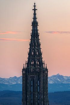 Ulm Cathedral and the city of Ulm in the evening at sunset with Alps in the background