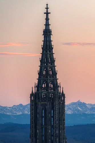Ulmer Münster und die Stadt Ulm Abends zum Sonnenuntergang mit Alpen im Hintergrund