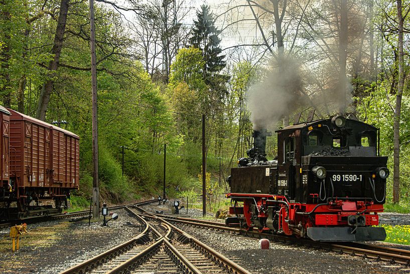 Museum railway Erzgebirge Preßnitztalbahn by Johnny Flash